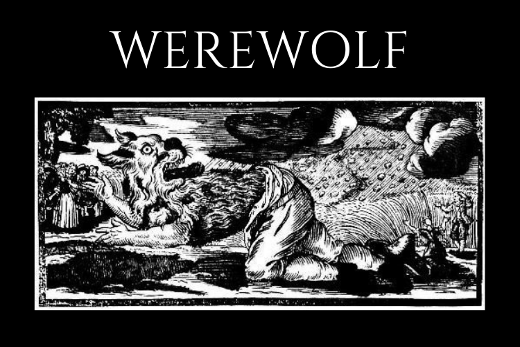 It S Time You Learned Werewolf The After Hours Game Played By Poker S Elite It S Time You Learned Werewolf The After Hours Game Played By Poker S Elite